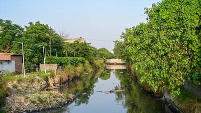 According to the report, officials found waste at three stretches along the Kondli drain. (Sunil Ghosh/HT Photo) According to the report, officials found waste at three stretches along the Kondli drain. (Sunil Ghosh/HT Photo)