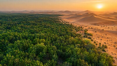 China has planted about 66 billion trees since 1978 to slow the spread of deserts. (AI-generated/ChatGPT) China has planted about 66 billion trees since 1978 to slow the spread of deserts. (AI-generated/ChatGPT)