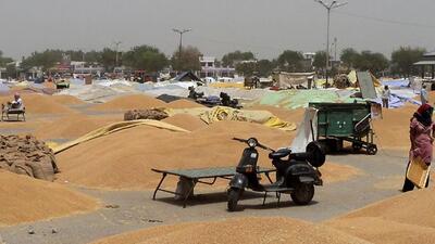 The relatively small increase in wheat comes against a backdrop of elevated government stocks. (HT FILE PHOTO) The relatively small increase in wheat comes against a backdrop of elevated government stocks. (HT FILE PHOTO)