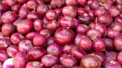ఉల్లిపాయలు ఉల్లిపాయలు