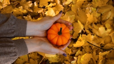 October 2026 horoscope. (Pexels) October 2026 horoscope. (Pexels)