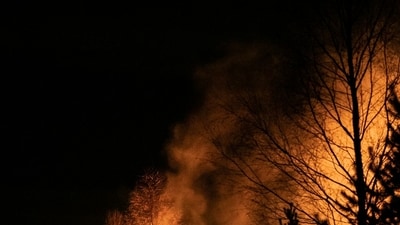 Evacuation orders were issued amid the Hatch Grade Fire. Image for representational purposes. (Unsplash) Evacuation orders were issued amid the Hatch Grade Fire. Image for representational purposes. (Unsplash)