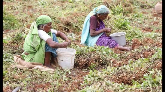 India’s elderly women need better social security cover