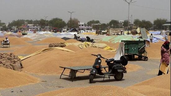 The relatively small increase in wheat comes against a backdrop of elevated government stocks. (HT FILE PHOTO)