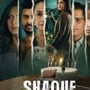 Netflix Top 10: థ్రిల్లర్ నుంచి క్రైమ్ కామెడీ వరకు.. నెట్‌ఫ్లిక్స్ టాప్ 10 ట్రెండింగ్ షోస్, వెబ్ సిరీస్ ఇవే