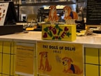 Gola or Googoo? Delhi’s ‘fat dog’ election sees sticky-note voting, exit poll and protest