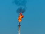 U.S. crude inventories unexpectedly rose last week.