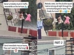 The video, shared around 22 hours ago, quickly went viral and garnered over 7 million views. 