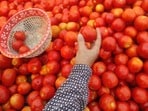 పెరిగిన టమాటా ధర