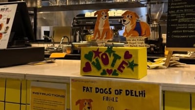 Gola or Googoo? Delhi’s ‘fat dog’ election sees sticky-note voting, exit poll and protest (fatdogsofDelhi/Instagram)
