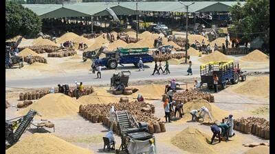 The policy seems prudent for two reasons. One, the government already has excess wheat stocks from the previous season’s procurement and does not really need to procure much more. Two, the real agricultural income story is that the cost of cultivation has remained largely constant despite large inflation in key inputs such as fertilisers because of the ongoing war in West Asia. (AFP) The policy seems prudent for two reasons. One, the government already has excess wheat stocks from the previous season’s procurement and does not really need to procure much more. Two, the real agricultural income story is that the cost of cultivation has remained largely constant despite large inflation in key inputs such as fertilisers because of the ongoing war in West Asia. (AFP)