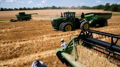 The government approved  ₹90,962 crore for procurement as it seeks to encourage farmers to grow more pulses and oilseeds amid climate uncertainties. (REUTERS/Representational)