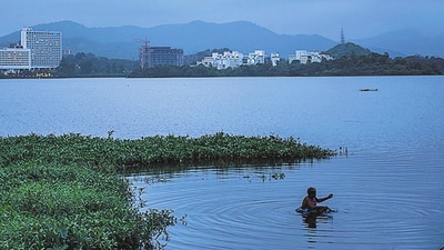 BMC assessments put the untreated sewage entering the lake at around 18 MLD. (HT_PRINT)
