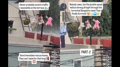 The video, shared around 22 hours ago, quickly went viral and garnered over 7 million views. (Instagram/@suryakant_96) The video, shared around 22 hours ago, quickly went viral and garnered over 7 million views. (Instagram/@suryakant_96)