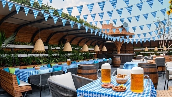 If you are looking to raise a stein and celebrate this season, here are the best places in town to check out