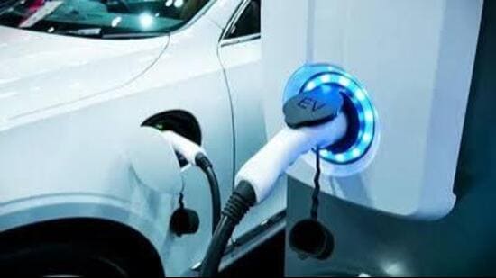 By fuel type, 6,381 petrol (E20), 2,855 petrol and 1,129 diesel vehicles were registered. (HT File)