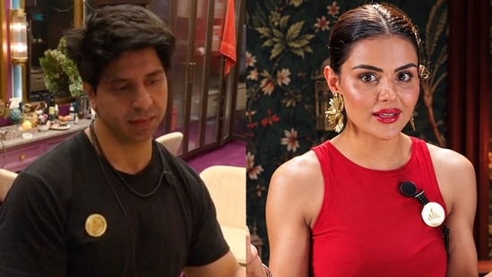 Shehzad Poonawalla calls Priyanka Chahar Choudhary a 'gold digger' in Rise & Fall season 2.