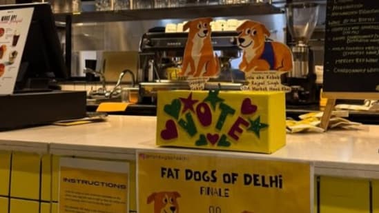 Gola or Googoo? Delhi’s ‘fat dog’ election sees sticky-note voting, exit poll and protest (fatdogsofDelhi/Instagram)