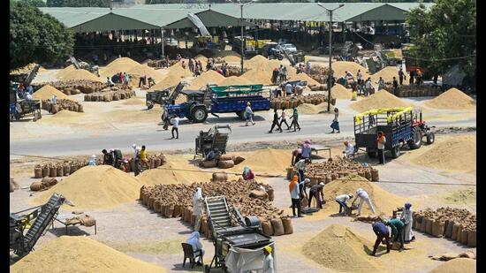 The policy seems prudent for two reasons. One, the government already has excess wheat stocks from the previous season’s procurement and does not really need to procure much more. Two, the real agricultural income story is that the cost of cultivation has remained largely constant despite large inflation in key inputs such as fertilisers because of the ongoing war in West Asia. (AFP)