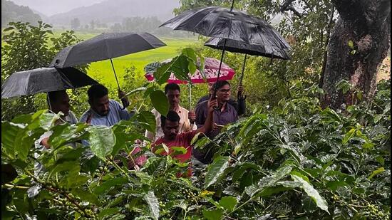 Visitors at a coffee plantation in the Araku Valley in the Eastern Ghats of Andhra Pradesh. Once a hotbed of Naxalite insurgency, the valley is seeing an influx of tourists eager to experience the region firsthand. (HT Photo)