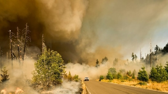 A large brush fire has been reported near Ocean Isle in Brunswick County.(Representative)