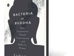 Bacteria to Buddha: Read an exclusive excerpt from Ramanan Laxminarayan’s new book