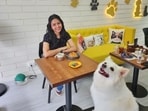 Fun, fur and festivities: It’s animal month for Maharashtra 