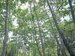 Delhi’s Northern Ridge will get reserved forest status for 277.56 acres under Section 20 of the Indian Forest Act, 1927, the government said.