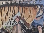 Rescued Tigress (Sourced)