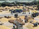 The policy seems prudent for two reasons. One, the government already has excess wheat stocks from the previous season’s procurement and does not really need to procure much more. Two, the real agricultural income story is that the cost of cultivation has remained largely constant despite large inflation in key inputs such as fertilisers because of the ongoing war in West Asia. (AFP)