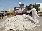 These centres have been connected with 25 cotton ginning factories. (HT)