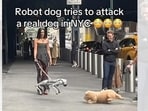 Videos of robot dogs going rogue make us feel smug. (INSTAGRAM/@TRWLSH)
