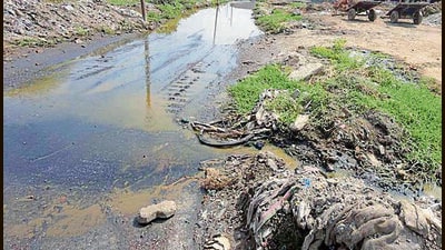A vies of blocked drains at Haibowal Dairy Complex, in Ludhiana. (Gurpreet Singh/Hindustan Times)