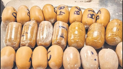 The smuggled gold was concealed in 23 capsules. The smuggled gold was concealed in 23 capsules.