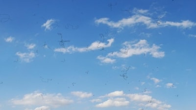 Floaters that are usually seen for a short while are generally harmless, shares Dr Minal Kanhere. (Pinterest) Floaters that are usually seen for a short while are generally harmless, shares Dr Minal Kanhere. (Pinterest)