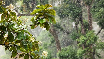 ఆంధ్రప్రదేశ్ వర్షాలు ఆంధ్రప్రదేశ్ వర్షాలు