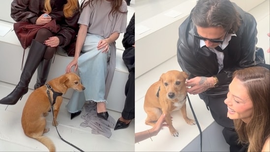 Balenciaga’s latest Paris show came with an adorable front-row regular: Miranda, Piccioli’s rescue dog.