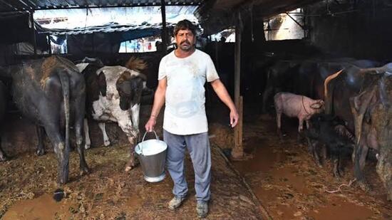 The agitation continued outside the Sirsa Vita dairy plant, where protesters maintained their sit-in and reiterated their resolve to continue the bandh.HT File
