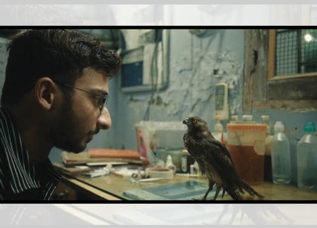 Shaunak Sen’s documentary All That Breathes won a Grand Jury Prize at Sundance. Shaunak Sen’s documentary All That Breathes won a Grand Jury Prize at Sundance.