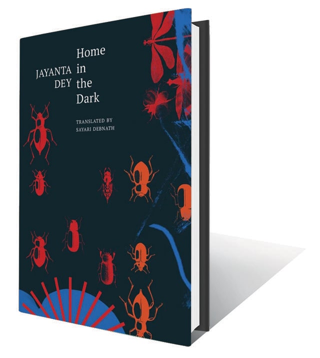 252pp,  ₹799; Seagull Books