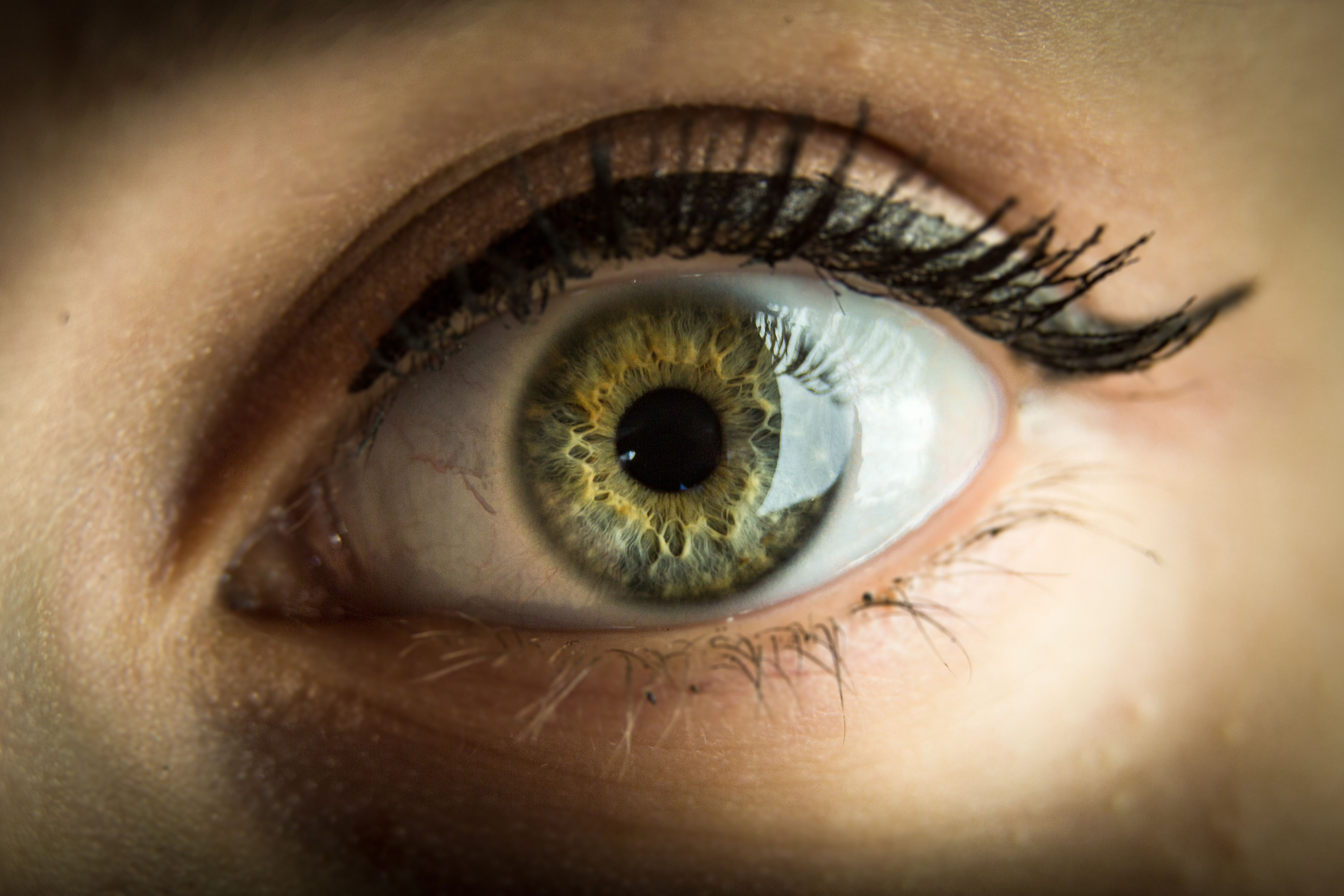 It is always better to get the eyes checked rather than waiting for issues with vision to clear up on their own, shares Dr Minal Kanhere. (Pexel) It is always better to get the eyes checked rather than waiting for issues with vision to clear up on their own, shares Dr Minal Kanhere. (Pexel)