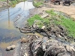 A vies of blocked drains at Haibowal Dairy Complex, in Ludhiana. (Gurpreet Singh/Hindustan Times)
