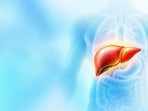 The condition of fatty liver in people of healthy weight, renamed in 2023 as metabolic dysfunction-associated steatotic liver disease (MASLD), is driven by insulin resistance.