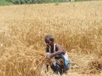 With soil moisture and reservoir levels under pressure, strengthening El Nino could disrupt winter crop sowing and add to India’s water and food risks.