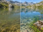 Introduced by accident as bait, minnows spread through mountain lakes in the Pyrenees.(AI-generated/ChatGPT)