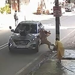The elderly woman fell near an electric pole while her husband was thrown a few feet away.