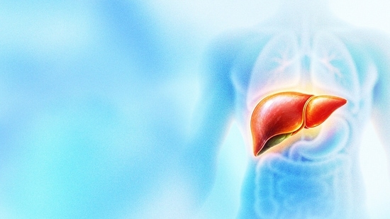 The condition of fatty liver in people of healthy weight, renamed in 2023 as metabolic dysfunction-associated steatotic liver disease (MASLD), is driven by insulin resistance.