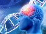 Chronic stress and alcohol consumption can negatively affect brain health, warns Dr Begeti. 