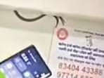 A snake slithered into a concealed panel above a berth on the Swatantrata Senani Express. The suspected coach was replaced at Muzaffarpur as a safety measure.