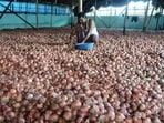Onion prices in Nashik’s Lasalgaon market have eased to  <span class='webrupee'>₹</span>46/kg from  <span class='webrupee'>₹</span>55, with fresh Karnataka and Andhra Pradesh arrivals giving buyers more options.